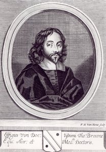 Thomas Browne爵士（1605-82），由Frederick Hendrick van Hove（c.1628-98） 作者 英语学校