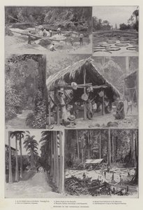 委内瑞拉边界草图（石版画） 作者 英语学校