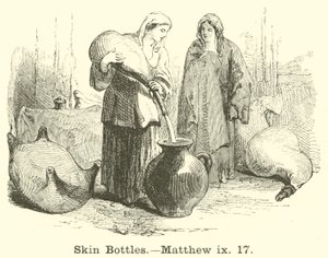Skin Bottle，Matthew，ix，17 作者 英语学校