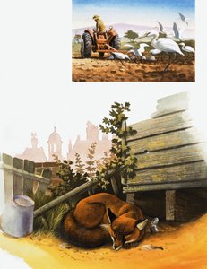 睡觉的狐狸 作者 英语学校