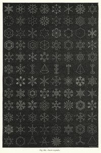 雪晶（雕刻） 作者 英语学校