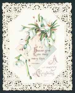 Snowdrops，圣诞卡片 作者 英语学校