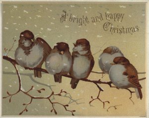 麻雀坐在雪地里的树枝上 (chromolitho) 作者 英语学校