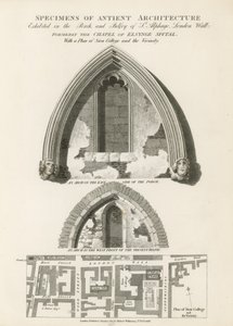 Antient Architecture的标本 作者 英语学校
