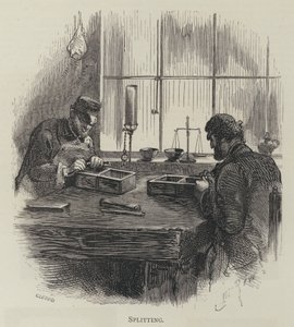 拆分 作者 英语学校