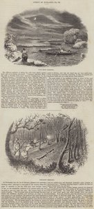 英格兰体育（雕刻） 作者 英语学校