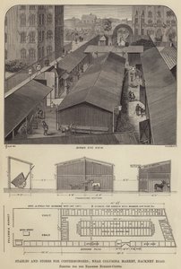 哈克尼路哥伦比亚市场附近的马厩和商贩商店，为Burdett-Coutts男爵夫人建立的（雕刻）。 作者 英语学校