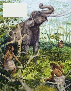 石器时代的人和大象 作者 英语学校