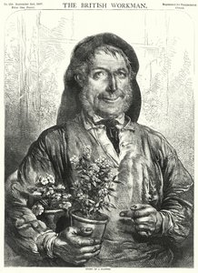 一朵花的故事（雕版画 作者 英语学校