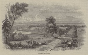 Strathfieldsaye 作者 英语学校