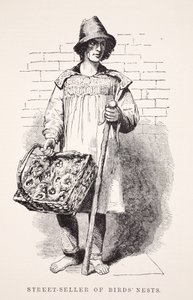 鸟巢的街头卖家，来自伦敦工党和伦敦穷人的插图由Henry Mayhew，酒吧。 1862年 作者 英语学校