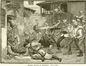 塞拉利沃的街头战役 作者 English School