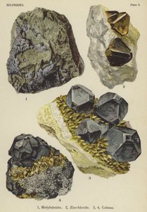 Sulphides, molybdenite, zinc-blende, galena (colour litho) 作者 英语学校