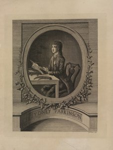悉尼-帕金森（Sydney Parkinson），1773 年 "航海日志 "中的正面插图，"航海日志 "选自国王陛下的 "奋进号 "轮船（由詹姆斯-库克船长指挥）（雕刻）。 作者 英语学校