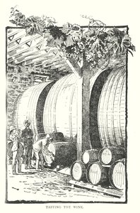 品酒（雕刻） 作者 英语学校