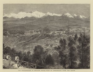Tea Cultivation in British India, View of Darjeeling from the South (engraving) 作者 英语学校