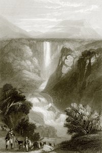 特尔尼 作者 英语学校