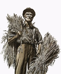撒切尔 作者 英语学校