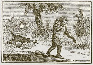 猩猩和她的两个小家伙（雕刻） 作者 英语学校