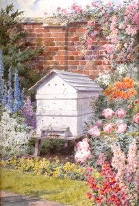 蜜蜂的花园 作者 英语学校