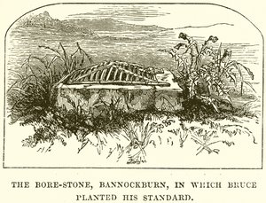 Bore-Stone，Bannockburn，布鲁斯在其中制定了他的标准 作者 英语学校