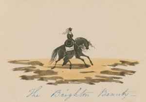 布莱顿美女（wc在纸上） 作者 英语学校