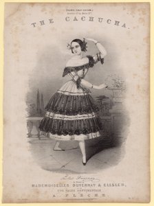 Cachucha 作者 英语学校