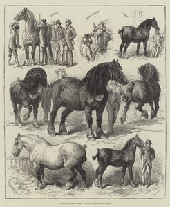 农业厅的车马展（版画） 作者 英语学校