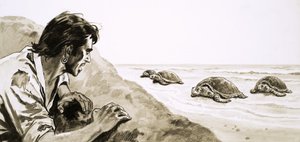 漂流者：龟岛的恐怖 作者 英语学校