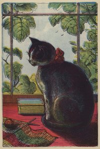 猫》（彩色印刷版） 作者 英语学校