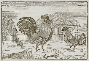 公鸡与宝石》（雕刻） 作者 英语学校