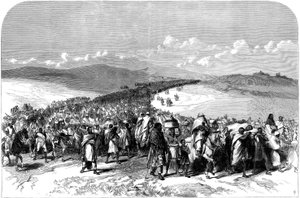 西奥多斯出走的军队，从英国远征到阿比西尼亚，1868年 作者 英语学校