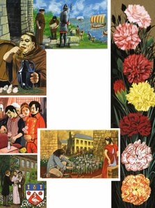 绽放的鲜花：鲜艳的康乃馨 作者 英语学校