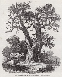沃里克郡斯通利的福音橡树（雕刻）（The Gospel Oak, Stonleigh, Warwickshire）。 作者 英语学校