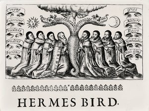 爱马仕鸟，来自Theatrum Chemicum，1652年 作者 英语学校