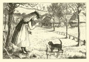 懒猫 作者 英语学校