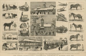 1879年7月在基尔本举行的伦敦国际农业展览会