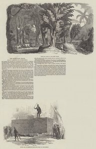 桃花心木贸易，在伯肯黑德出售怪物原木（雕刻） 作者 英语学校