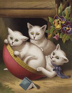 快乐的小猫（色谱法） 作者 英语学校