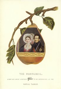 The Nonpareil与维多利亚女王和阿尔伯特亲王的肖像