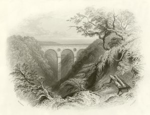 Peaths Bridge和Ravine，Berwickshire 作者 英语学校