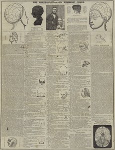 Phrenological和Mesmeric图表 作者 英语学校