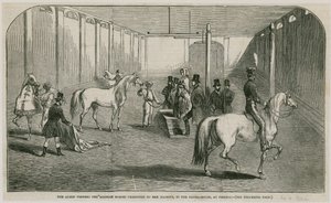 观看阿拉伯马的女王在Pimlico的骑马屋里向她的Majestry展示 作者 英语学校