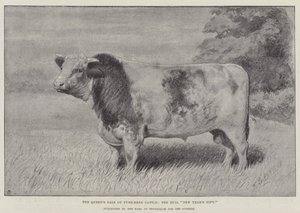 女王出售纯种牛，公牛“新年礼物”，由 Feversham 伯爵以 1000 几内亚（石版画）购买 作者 英语学校