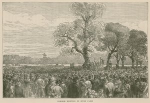 1867年5月6日在海德公园的改革示范 作者 英语学校