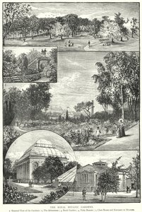 皇家植物园（雕版画 作者 英语学校