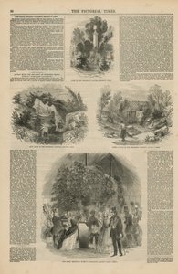 皇家植物园 作者 英语学校