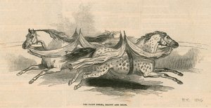 伦敦Astleys Amphitheatre的皇室家族 - 童话小马，美女和塞利姆 作者 英语学校