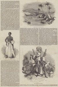 三明治群岛（雕刻） 作者 英语学校