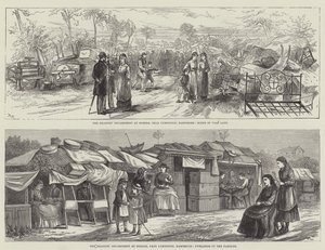 Hordle 的振动者营地（版画） 作者 英语学校